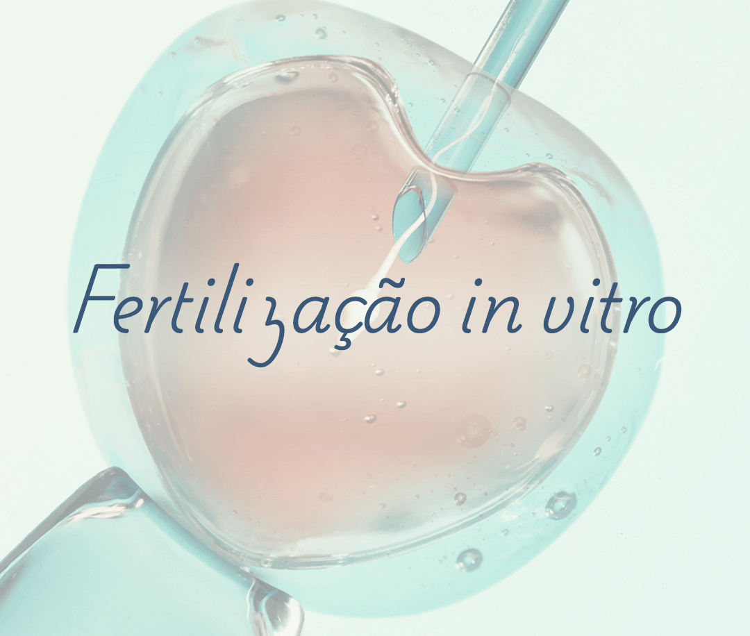 Site-Murilo-Destaques-Home-mobile_fiv